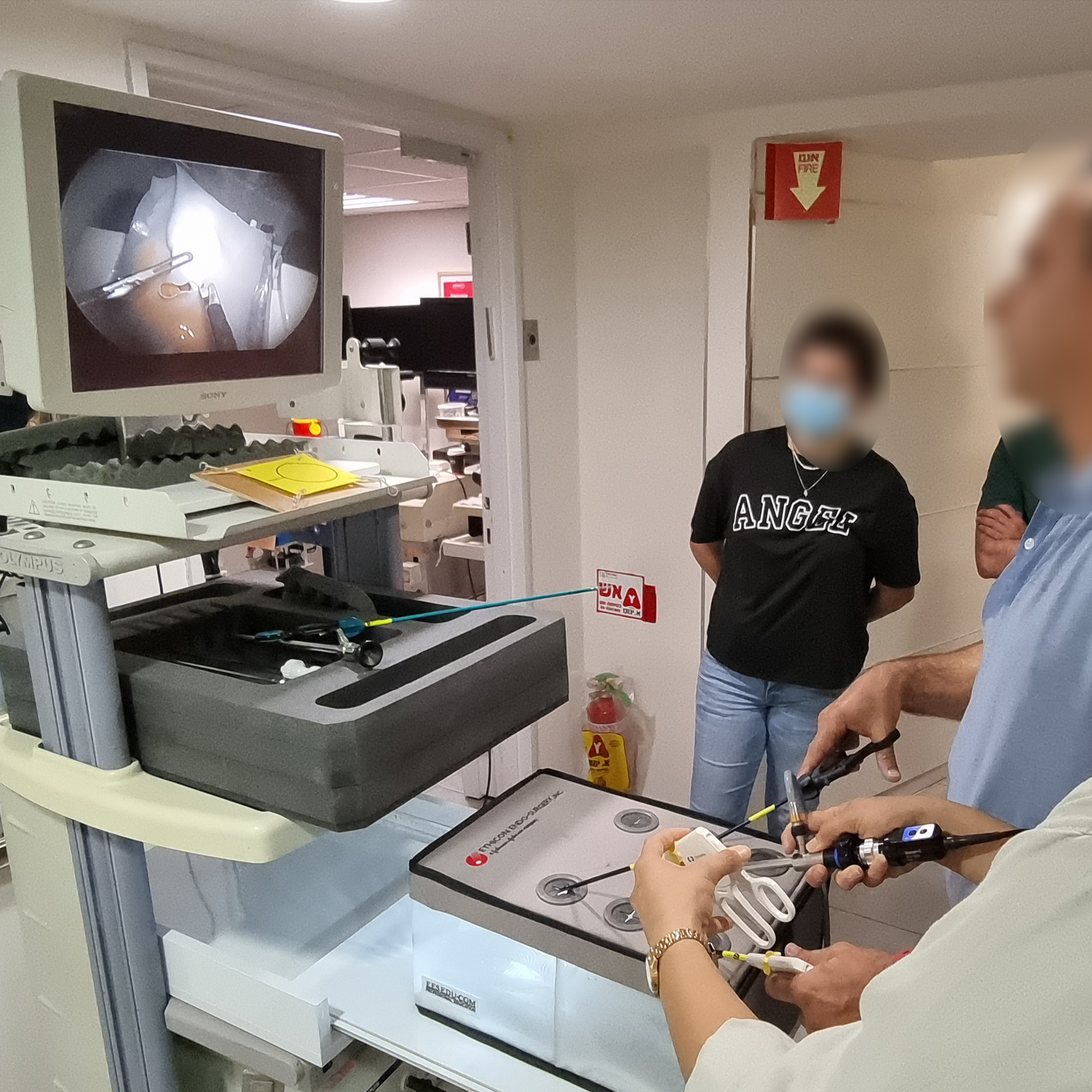 מודל תרגול לכריתת כיס מרה הוא כלי חיוני להכשרת רופאים ומתמחים